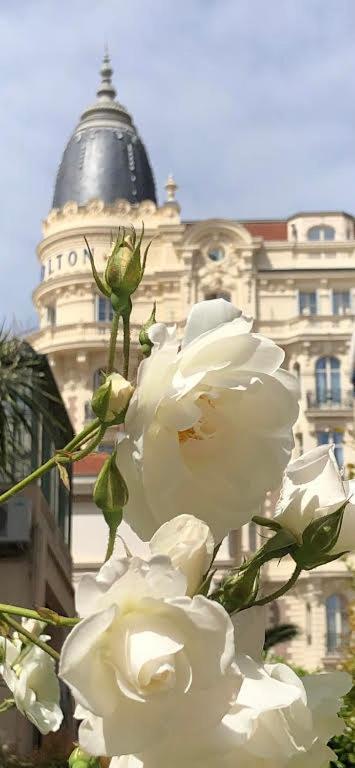 Apartment Croisette Cannes