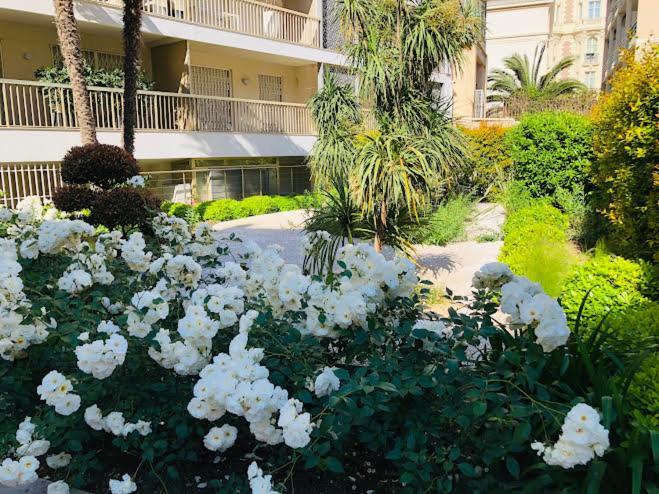 Croisette Apartment *
